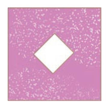 Figure it Out (Page 223 - 230) Ques 5 Chapter 9 Class 6th NCERT (Ganita Prakash)